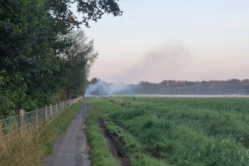 img 20240829 084015 199