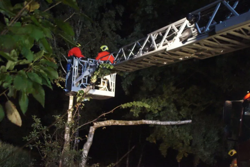 img 20240927 070424 333