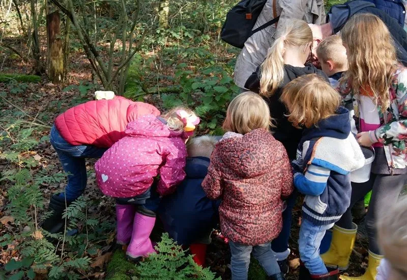 scharrelkids ivn uden 3