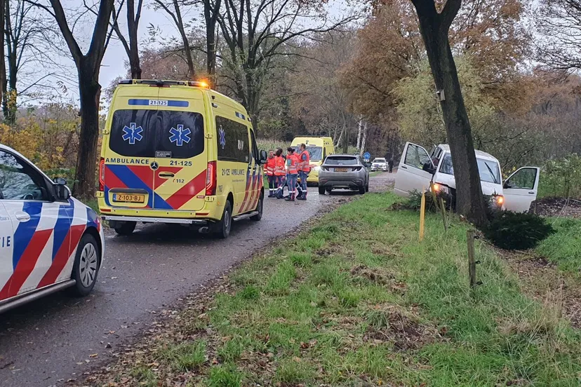 img 20241119 121058 809