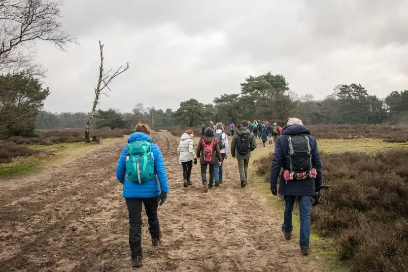 blip20189263 16 25240318787 o