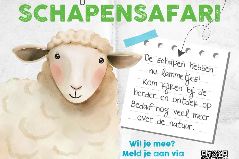 poster scharrelkids schapensafari 15 3 2025 1