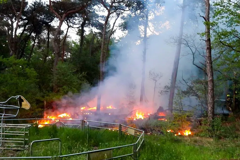 img 20250502 221031 163