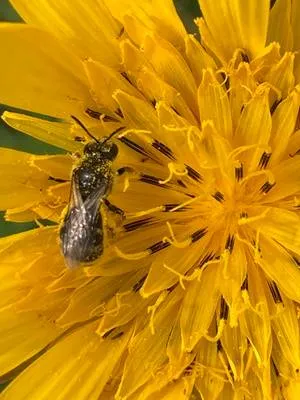 2025 06 02 101439kopie