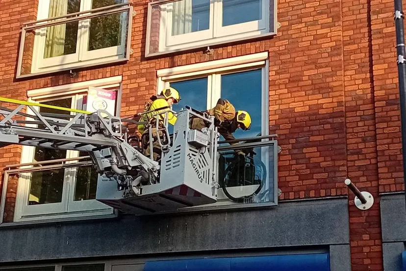 01-08-2025 Dier op hoogte Uden 02