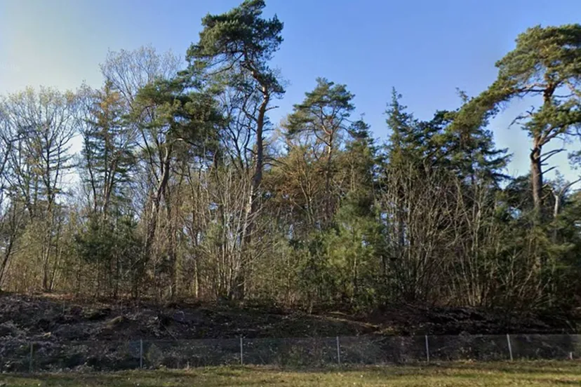 De Maashorst - Google Maps