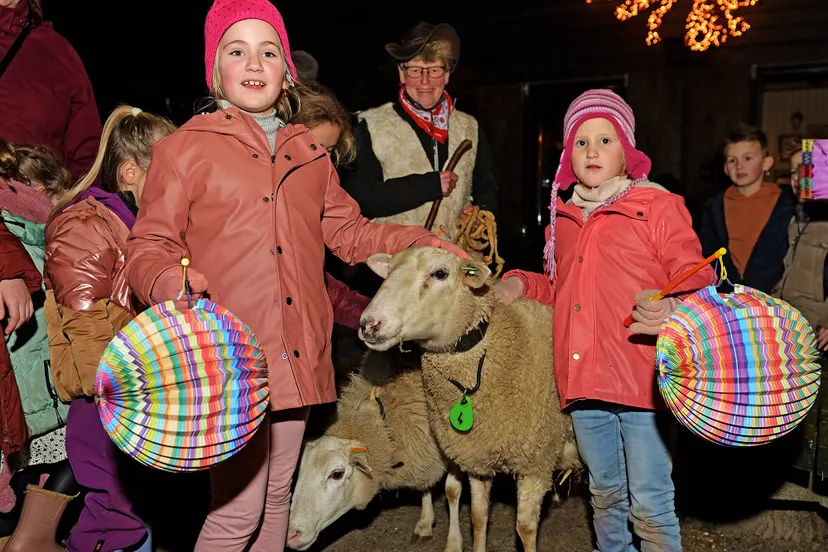 Docus de Das lampionoptocht liggend