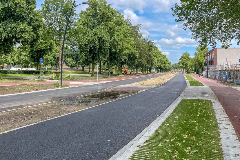 01. Herinrichting Violierstraat (voorjaar 2026)