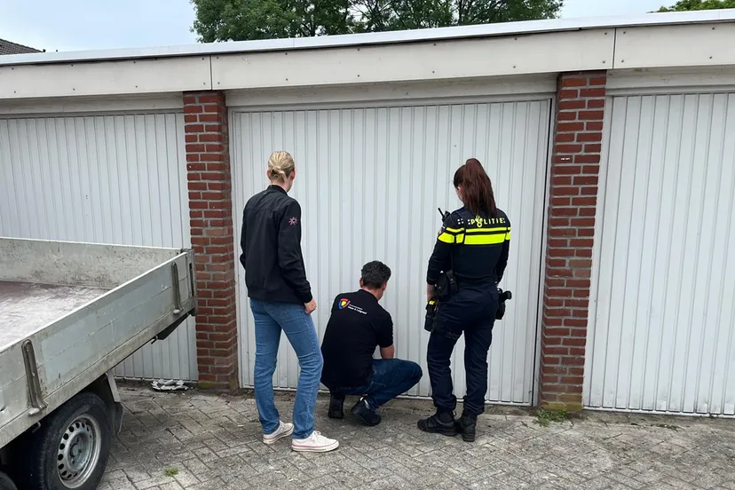 Foto integrale controle Maashorst