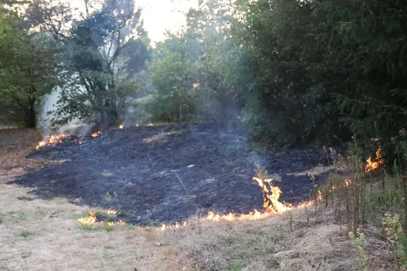 26-08-2026 Buitenbrand Uden 02