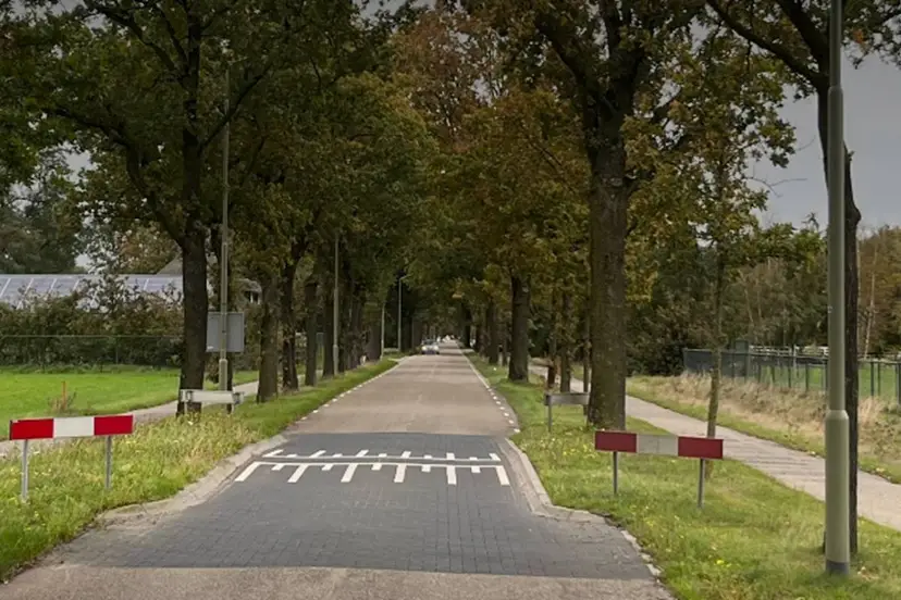 Zeelandsedreef