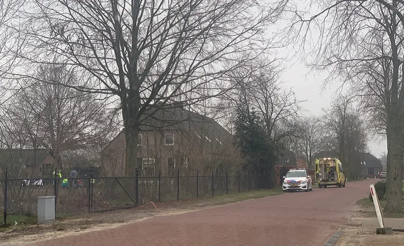 01 02 2021 val van paard 01