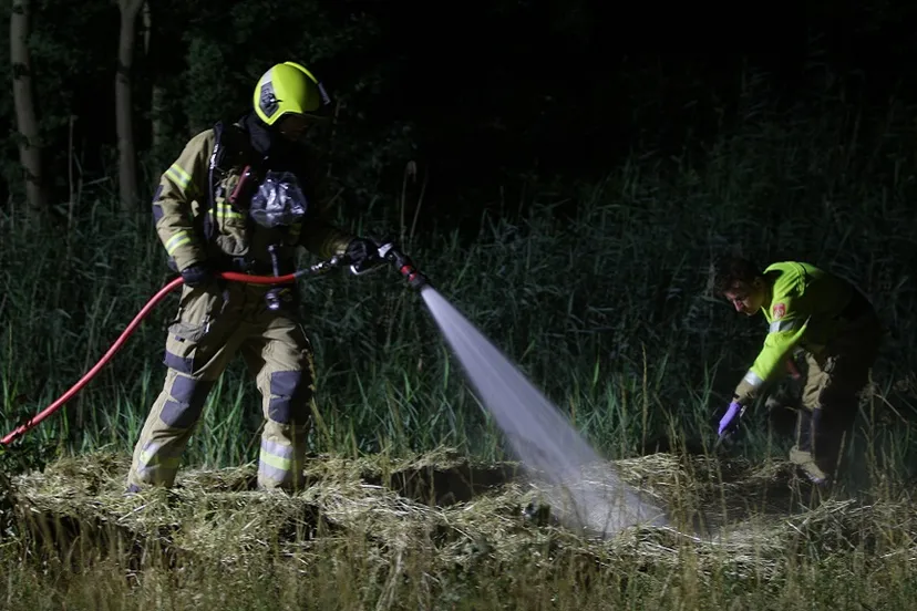 02 07 2023 bermbrand 03