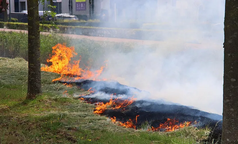 03 07 2019 bermbrand dorshout 896x504