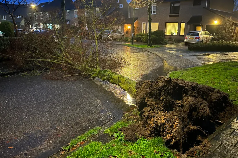 06 02 2022 stormschade veghel 01
