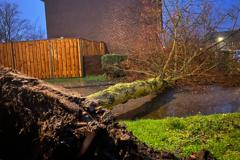 06 02 2022 stormschade veghel 03
