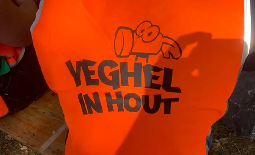 08 08 2019 veghel in hout 2019 896x504