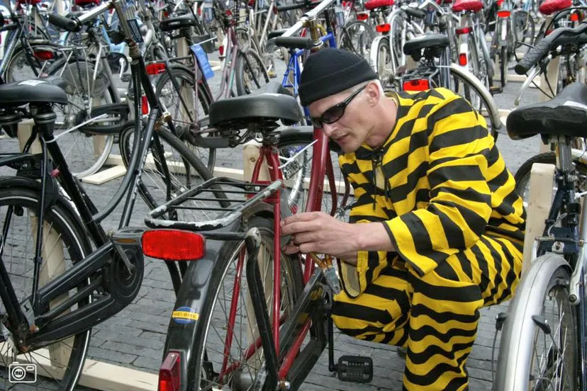 12107812 1503325846656919 3242695736118599884 n