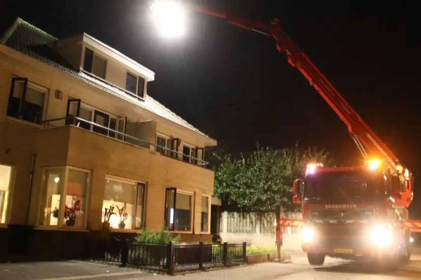 13 08 2020 kat op dak 03