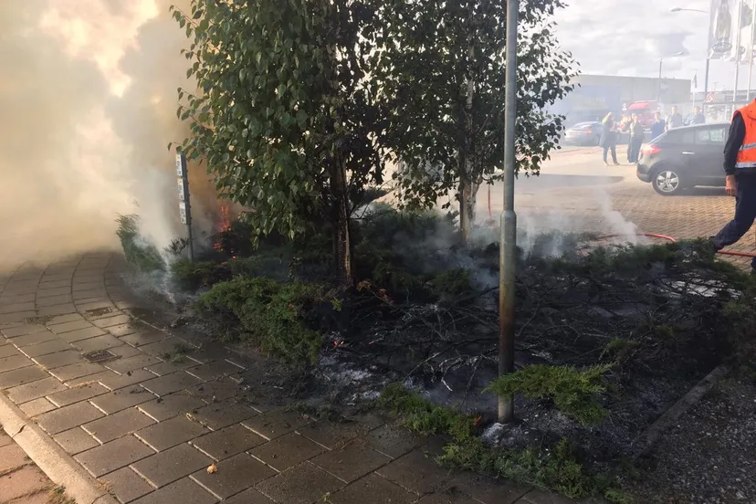 13941fc8 0ed6 4b61 9206 3057ceaf3aaf