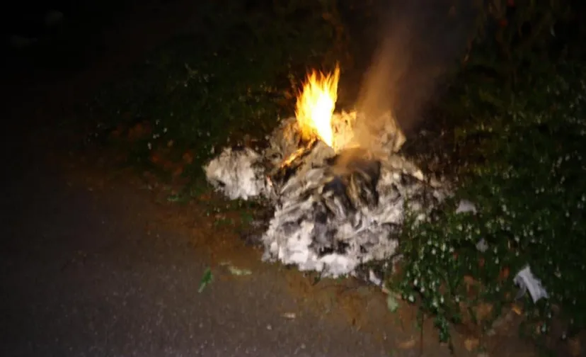 15 05 2020 buitenbrand lookveld 01