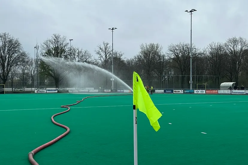 16 04 2023 geel zwart 5