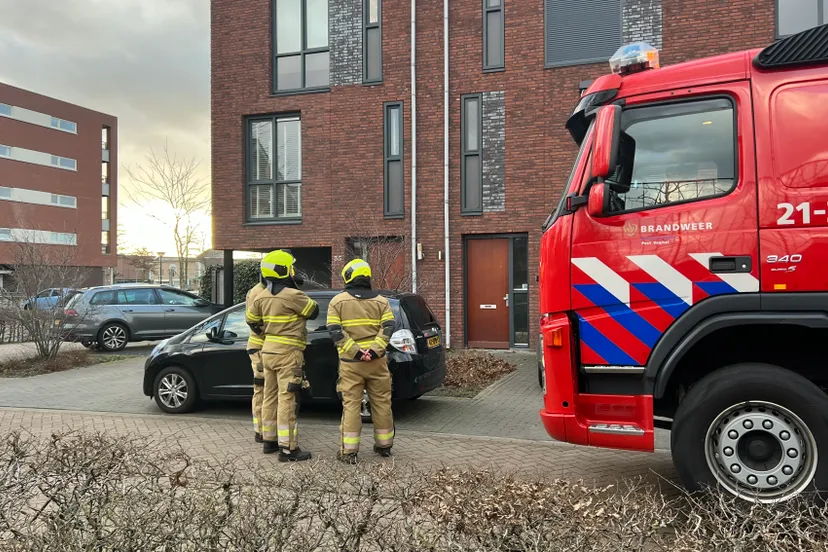 18 02 2022 stormschade kopfoto