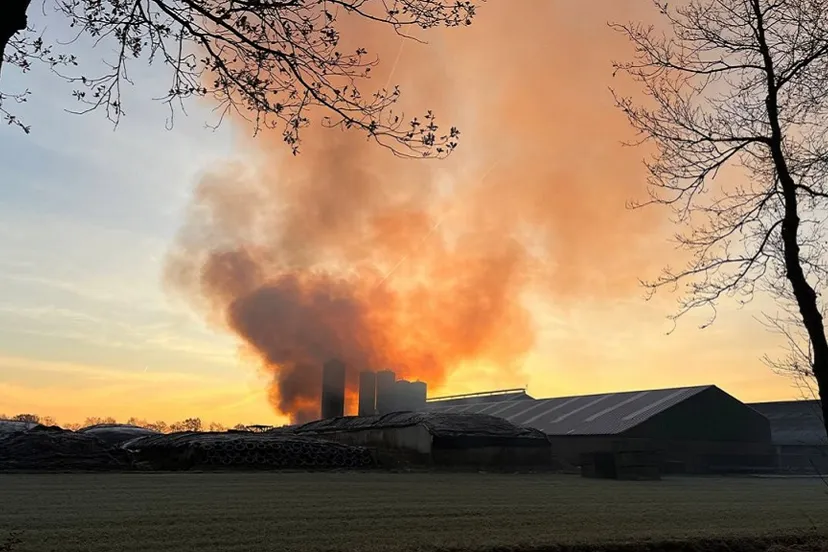 18 12 2022 brand erp 01