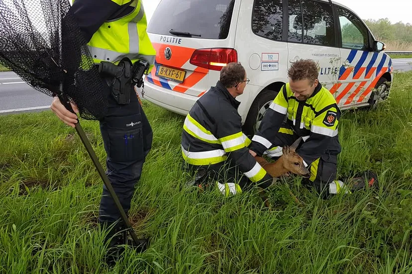 18402731 1833453220310845 3914799468244356716 n