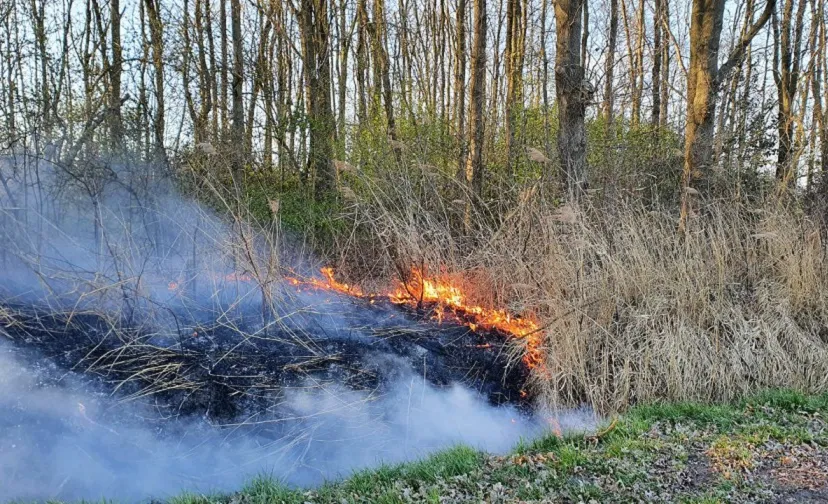 19 03 2022 bosbrand mariaheide 5