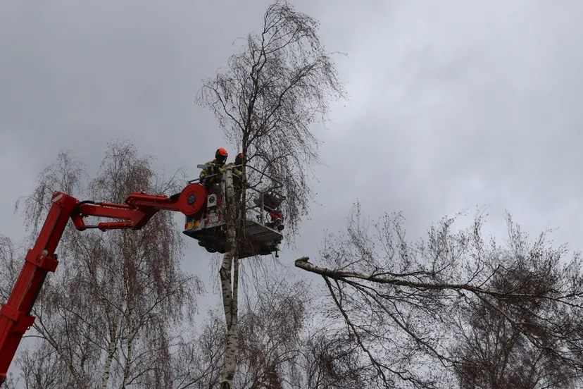 2023 12 22 stormschade eerde 05