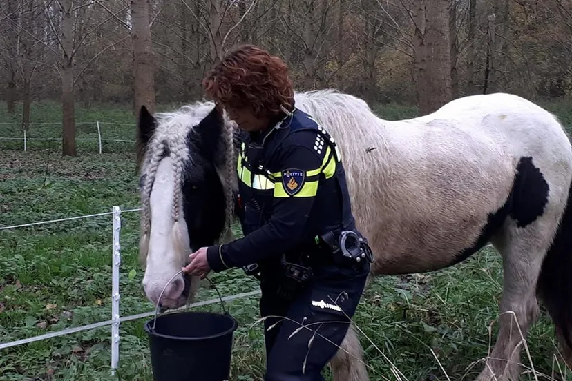 23561487 868806576618879 8812325340924120847 n