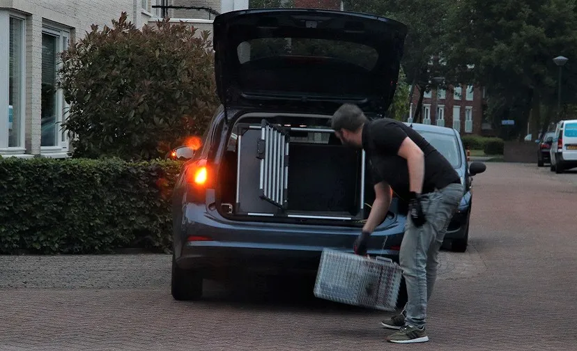 26 05 2022 kat in de problemen 01