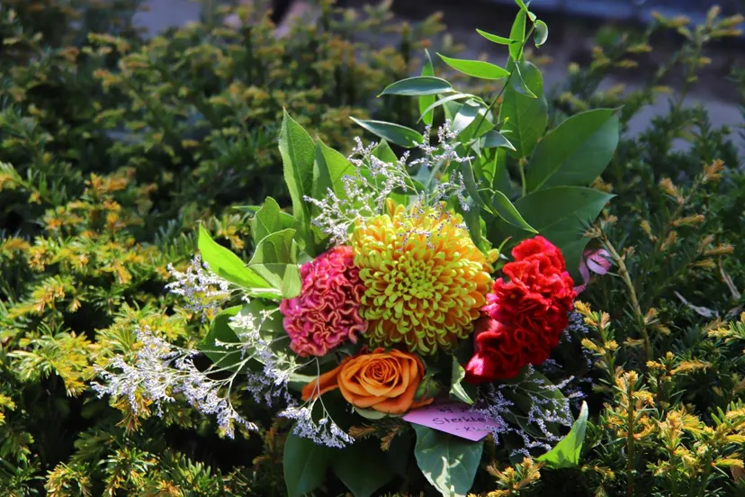 27 04 2020 koningsdag zijtaart 03