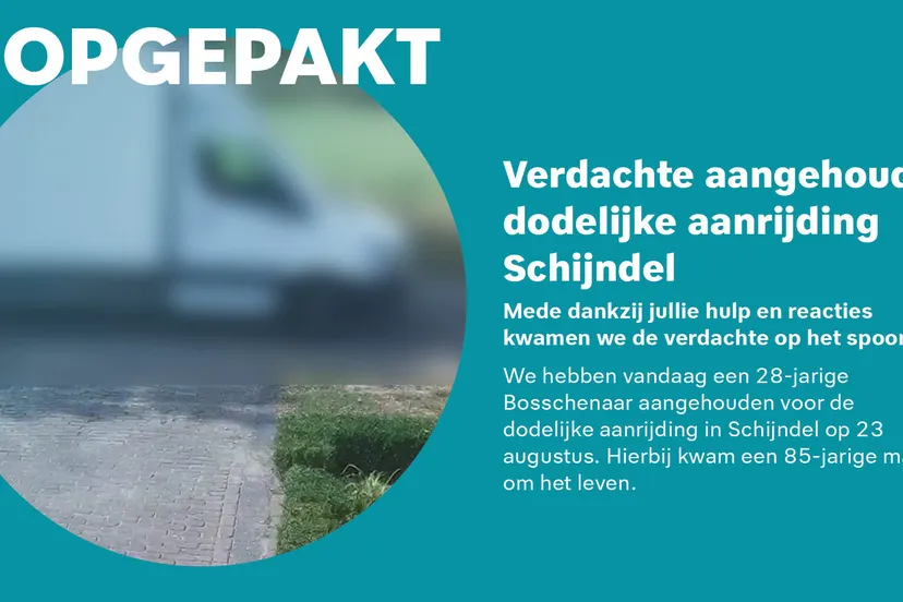 302688580 392287776422765 8426204895330689264 n