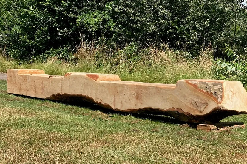 347406408 566062132370013 8874003915513652285 n