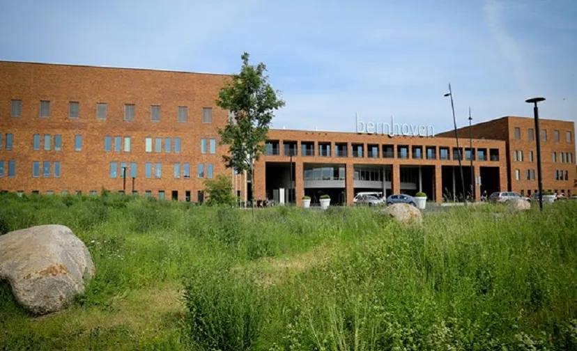 49029289596 84bb44cd47 o