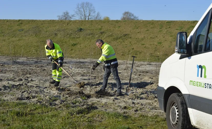 aanplant bomen op groenstrook langs sonseweg in nijnsel