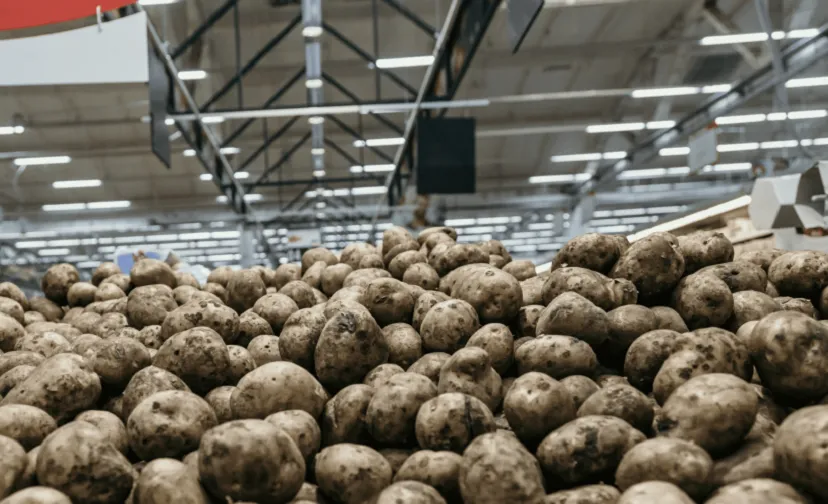 aardappelberg 880x500 c default