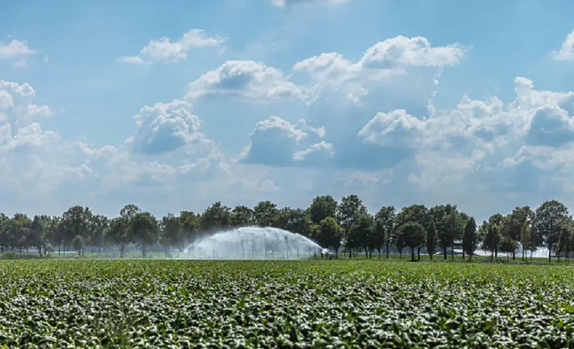 afbeelding bij onttrekkingsverbod