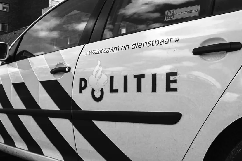 afbeelding van whatsapp op 2024 06 27 om 123305 3429f295