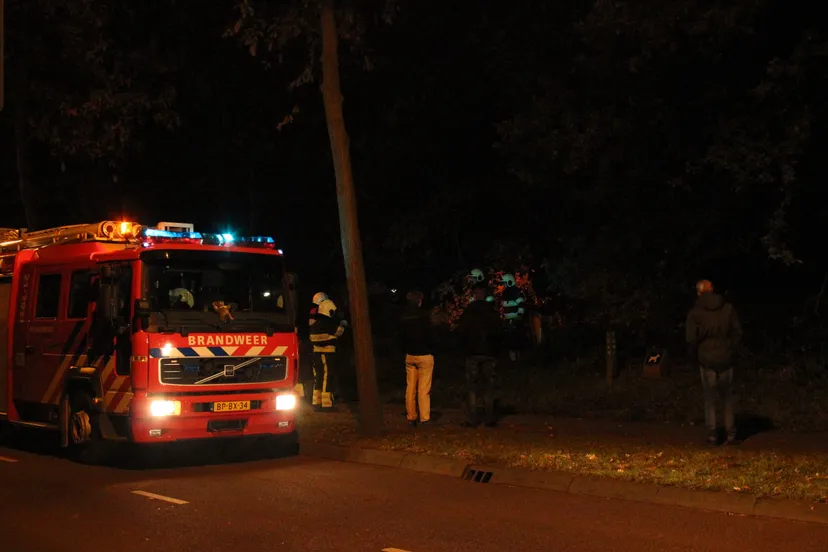 ed00bea1 9adc 4fc7 a21f 40201f232261