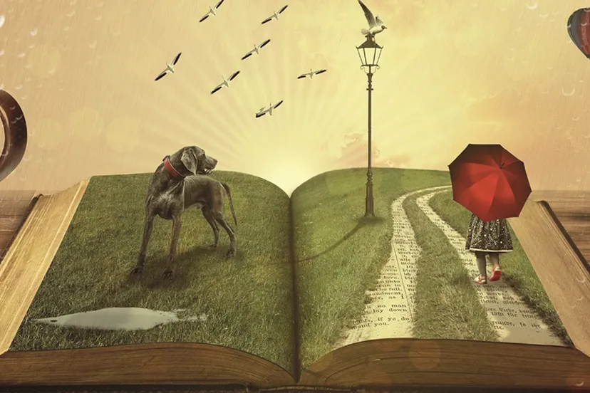 facebook schrijflokaal