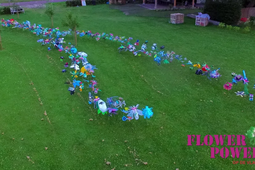 flower power op de vlagheide 2019 02