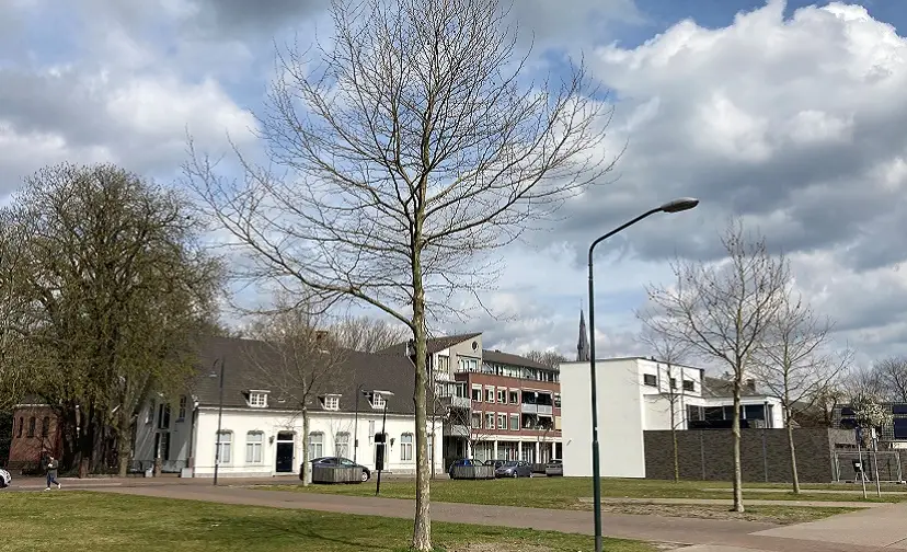 foto liggend bomen perceel hoogstraat