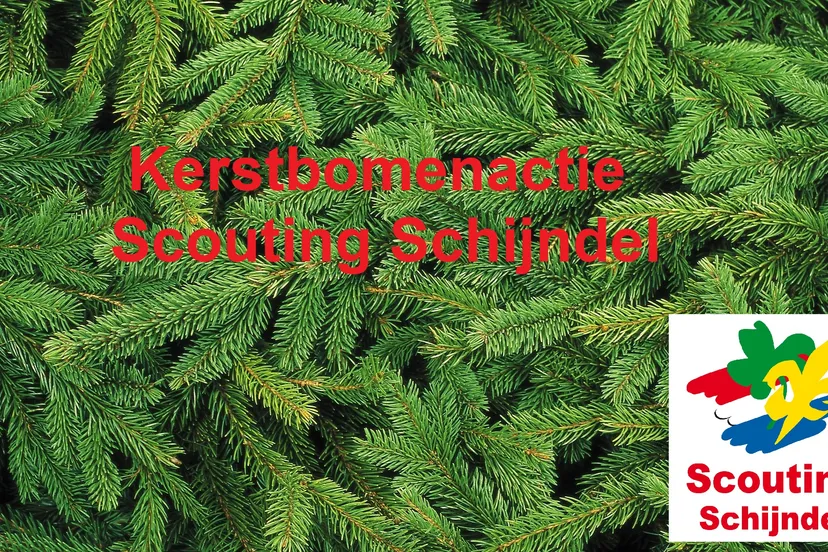 kerstboomactie