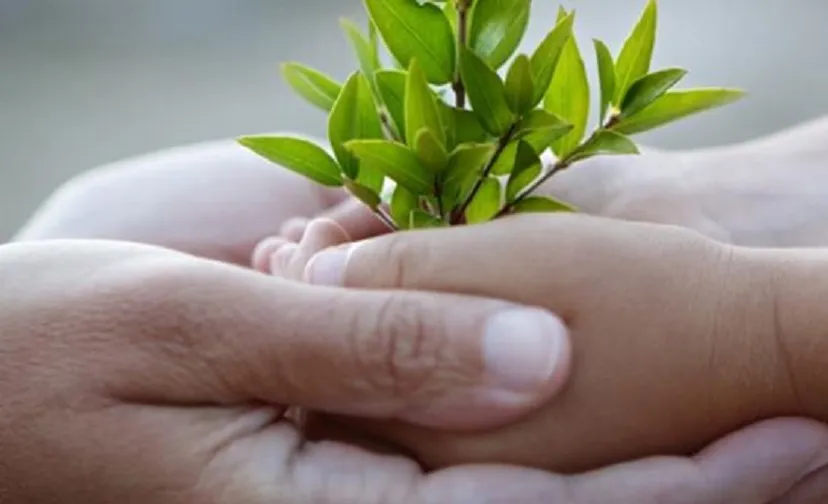 kinderopvang t kroontje vacatures