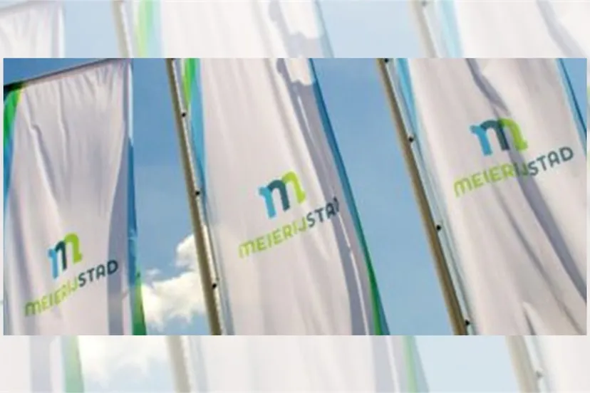 meierijstad vlaggenjpeg