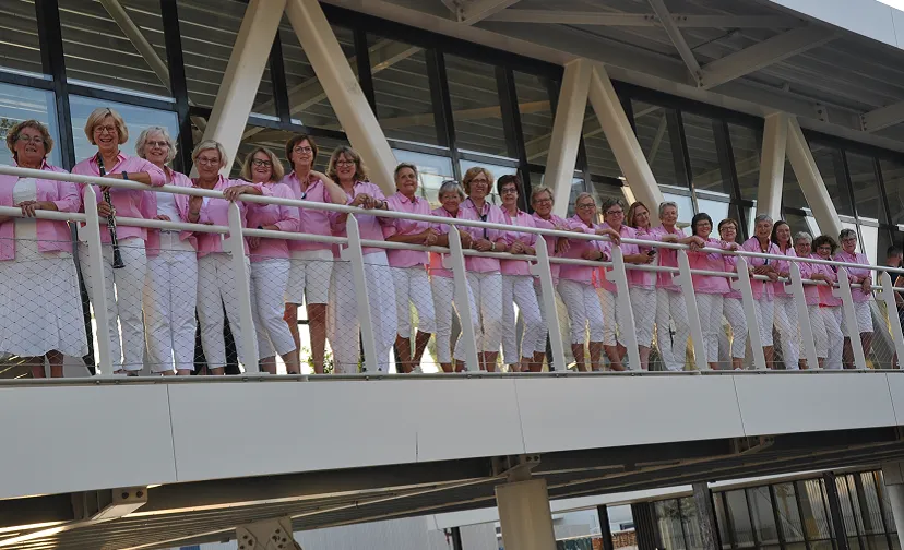 onvermeidenlijk 896x504 toine van erp