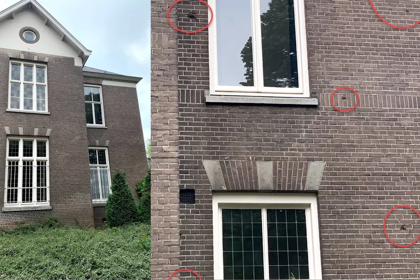 oorlogsschade veghel foto pastorie